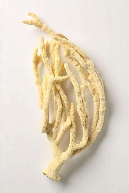 Accessories Natural Sponges from Anthropologie portrait 5