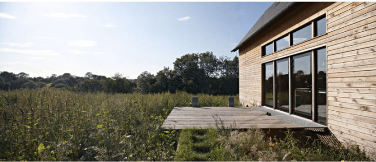 A simple wooden deck floats in a meadow.