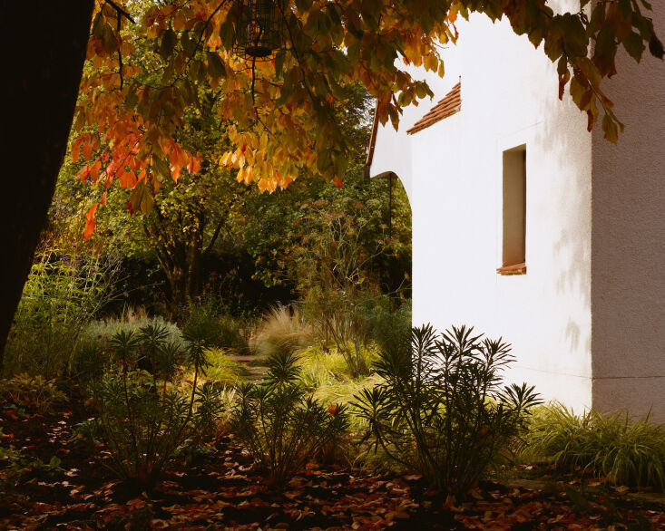 a robust garden surrounds the home. photograph by rory gaylor for rural office. 18
